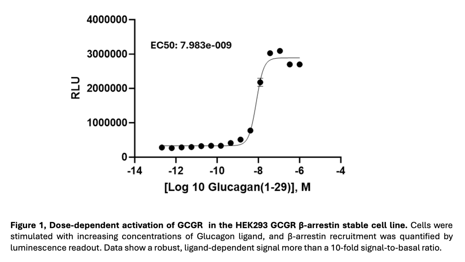 HEK293 GCGR β arrestin cell line