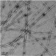 α-Synuclein (WT) Pre-formed Fibrils (PFFs)